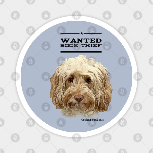 Cockapoo / Doodle Dog Sock Thief Magnet by WoofnDoodle 